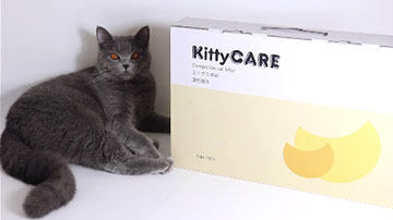 KittyCARE mixed cat litter